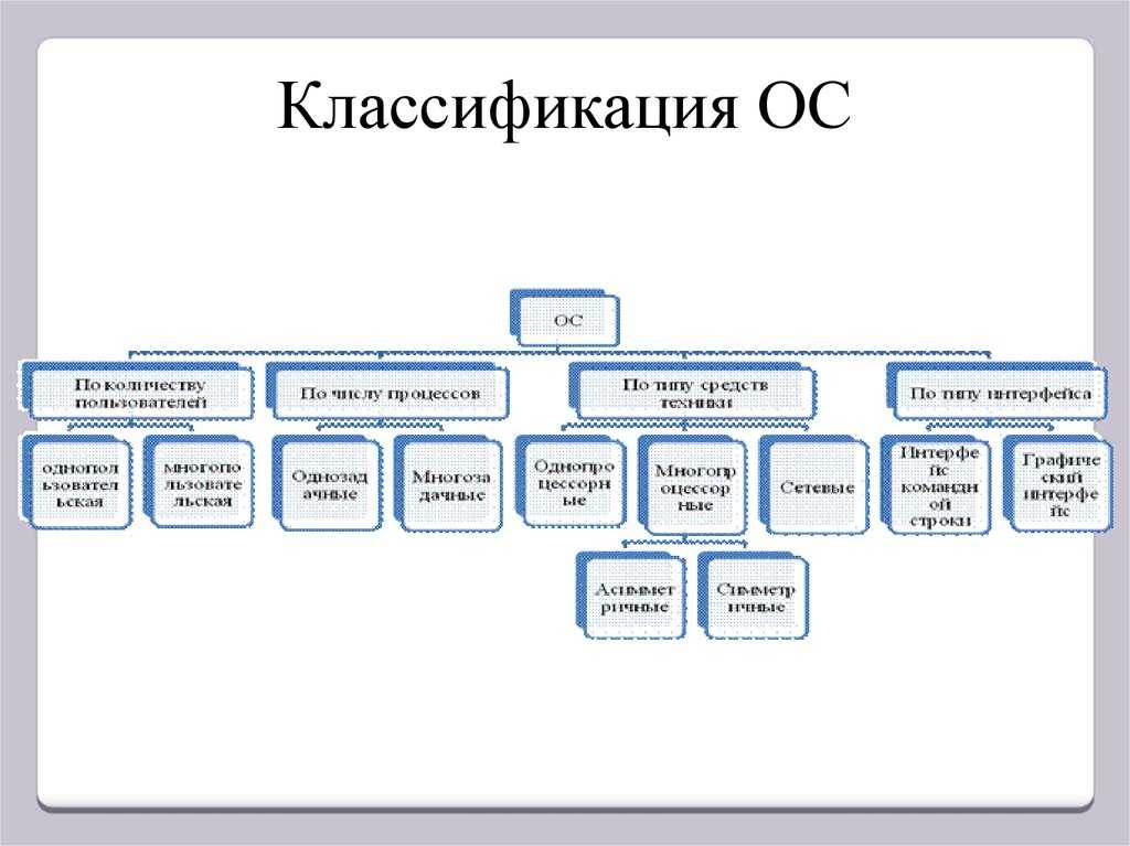 Описание ос: внешний вид, разновидности и их особенности, сколько живет оса