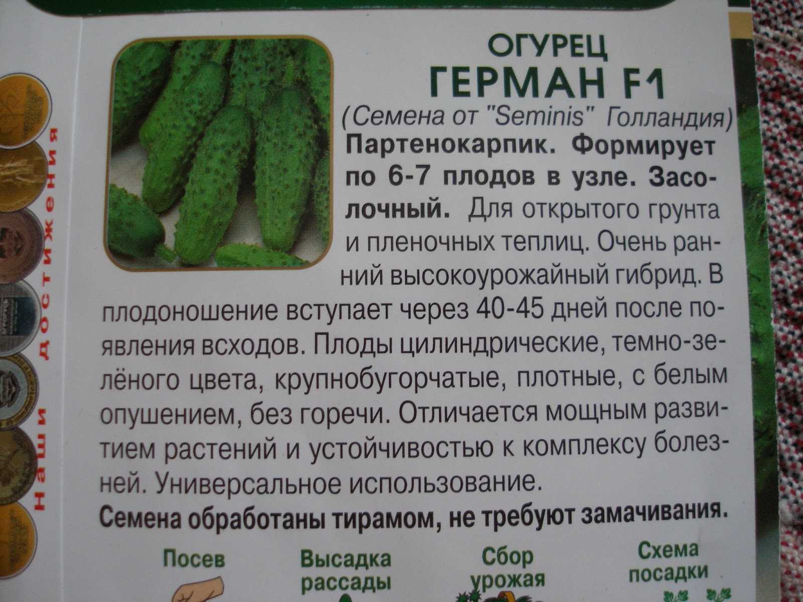 Огурцы адам: описание, отзывы, формирование куста