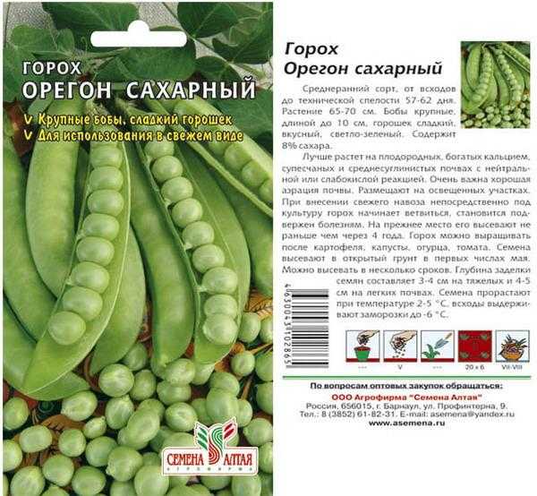 Горох: посадка и уход в открытом грунте, выращивание из семян, уборка, хранение, фото