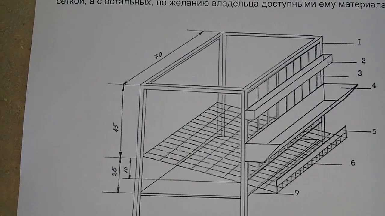 Клетки для несушек своими руками в домашних условиях – чертежи и размеры