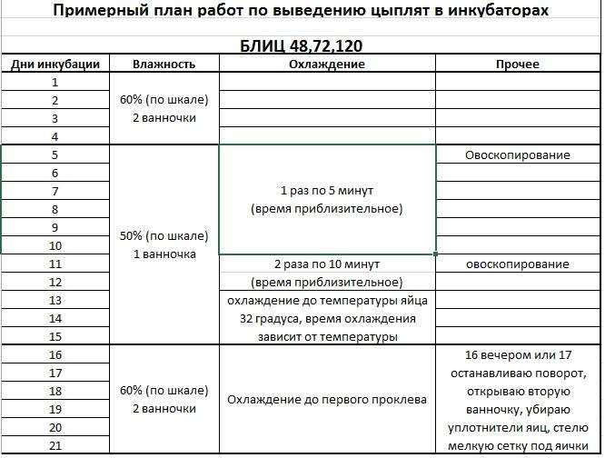 Через сколько дней вылупляются цыплята в инкубаторе и под курицей?