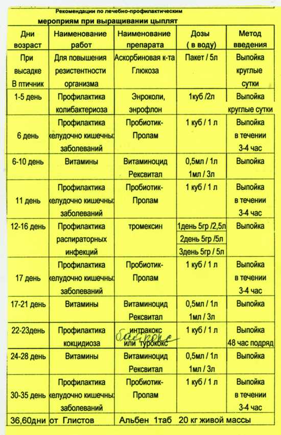 Антибиотики для кур: как и когда применять препараты