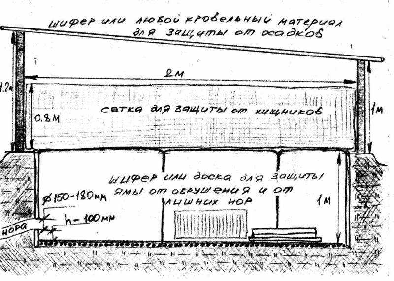 Разведение кроликов в яме в домашних условиях