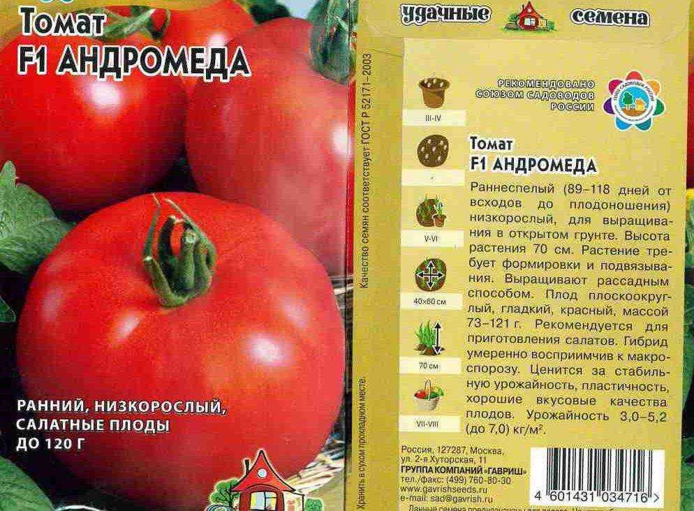 Томат «абаканский розовый»: описание и характеристика, выращивание, фото