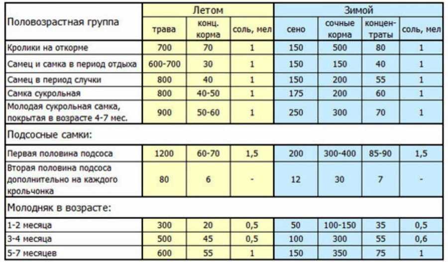 Чем кормить кроликов в домашних условиях