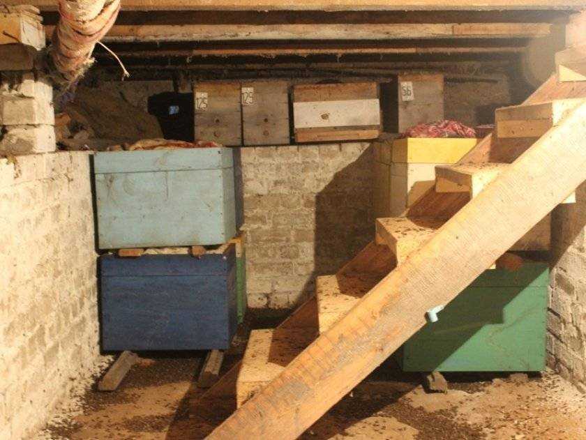 Основные требования к зимовнику для пчел: омшаник своими руками,