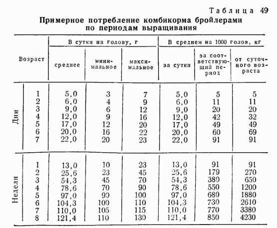 Сколько растут бройлеры на мясо: от цыпленка до курицы и забоя