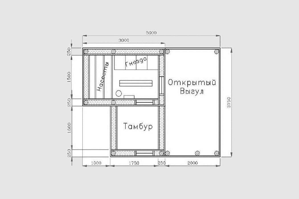 Курятник своими руками на 20 кур: чертежи и схемы, необходимые инструменты и материалы, изготовление летнего и зимнего
