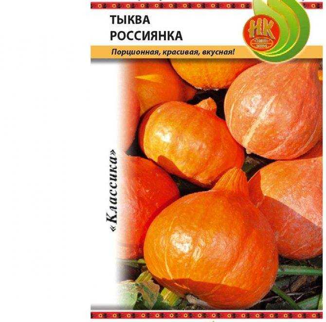 Характеритика и описание тыквы “россиянка”