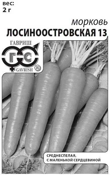 Морковь лосиноостровская 13: описание, отзывы, фото и советы по выращиванию