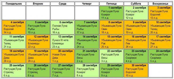 Когда что сажать в огороде: сроки посадки культур в средней полосе