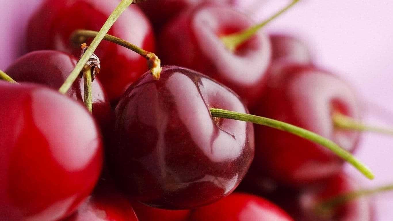 Вишня – посадка и уход. сорта вишни для средней полосы.