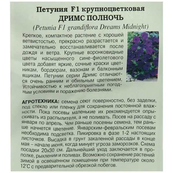 Петуния махровая: описание сортов, посадка, выращивание и уход после цветения с фото