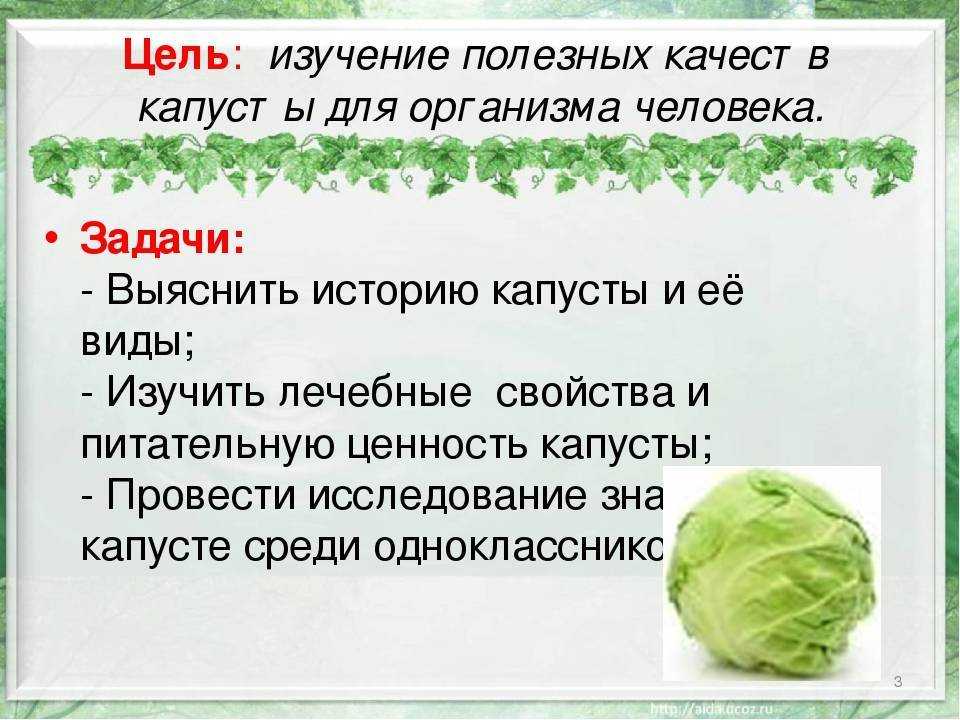 Лучшие сорта капусты кольраби: их выбор и описание