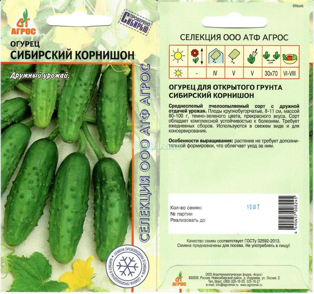 Огурцы корнишоны: 20 лучших сортов и гибридов по отзывам тех, кто сажал и выращивал