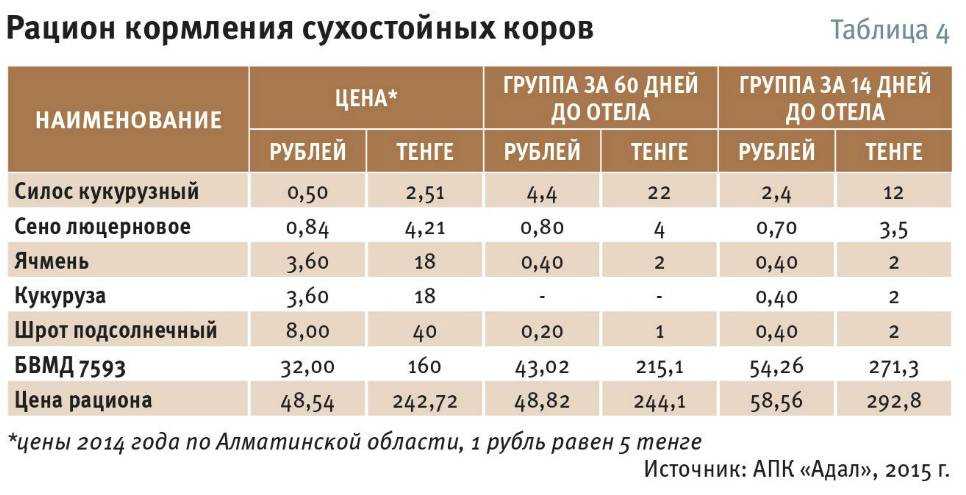 Кормление дойных коров: структура питания и суточный рацион, нормы