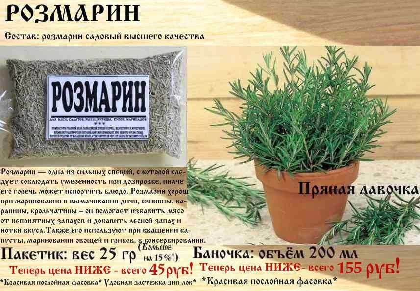 Приправа из дагестана: лечебные свойства и применение ореховой травы