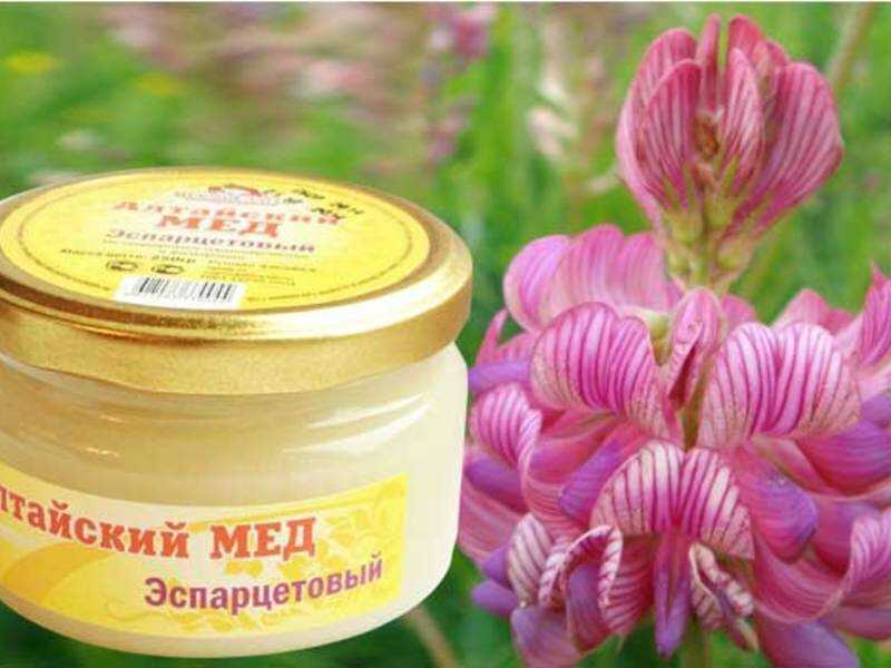 Эспарцет – трава-медонос
