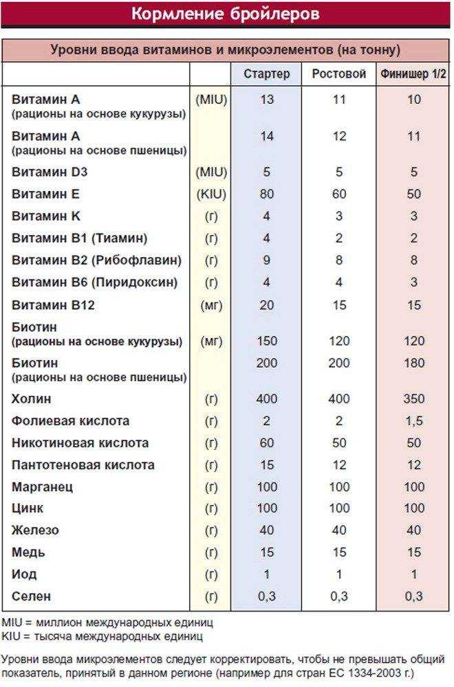 Чем кормить бройлеров: правила питания для быстрого набора веса