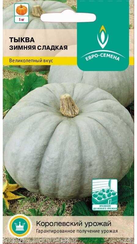 Тыква «россиянка»: описание сорта, особенности выращивания и ухода