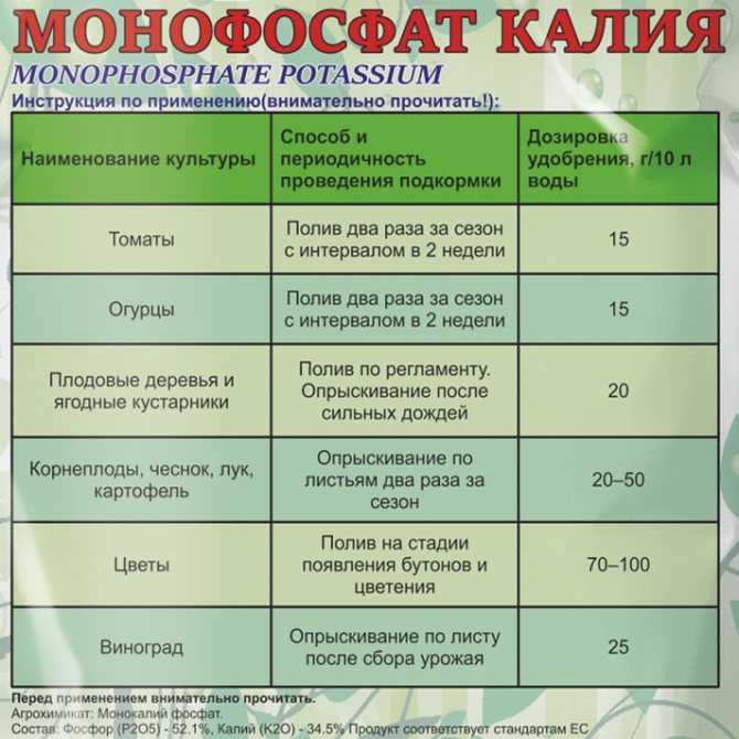 Чем подкормить рассаду помидор чтобы были толстенькие, после пикировки, в домашних условиях