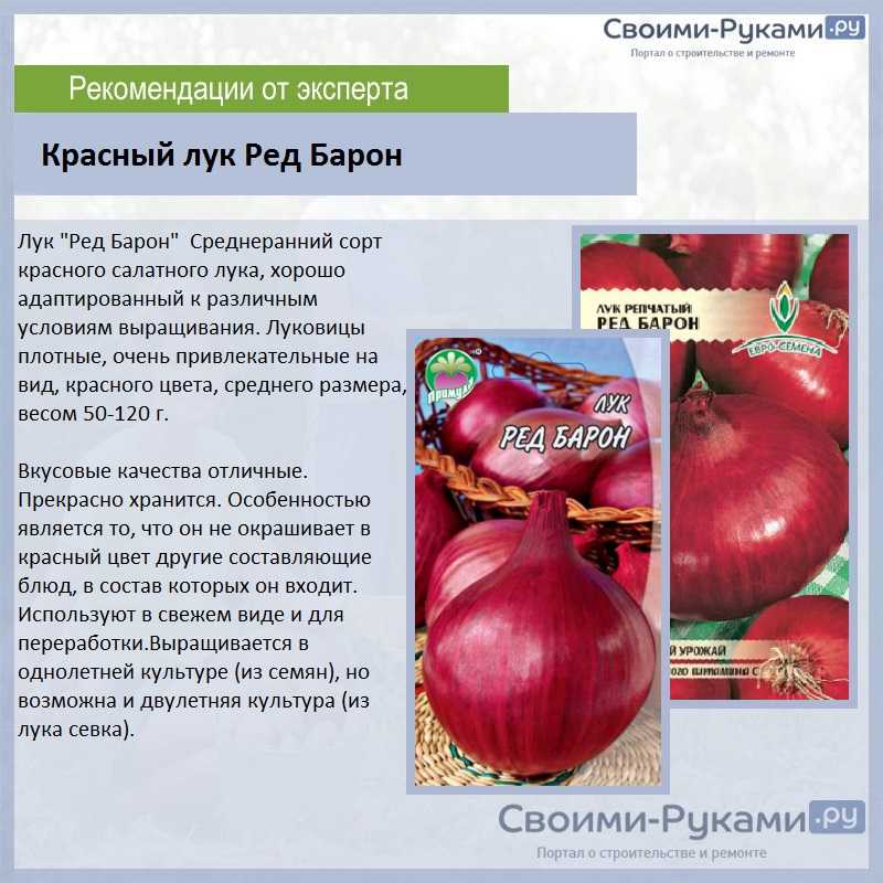 Сорта красного репчатого лука для подмосковья, для сибири, для средней полосы, для хранения, описание с фото, отзывы, крупные, урожайные