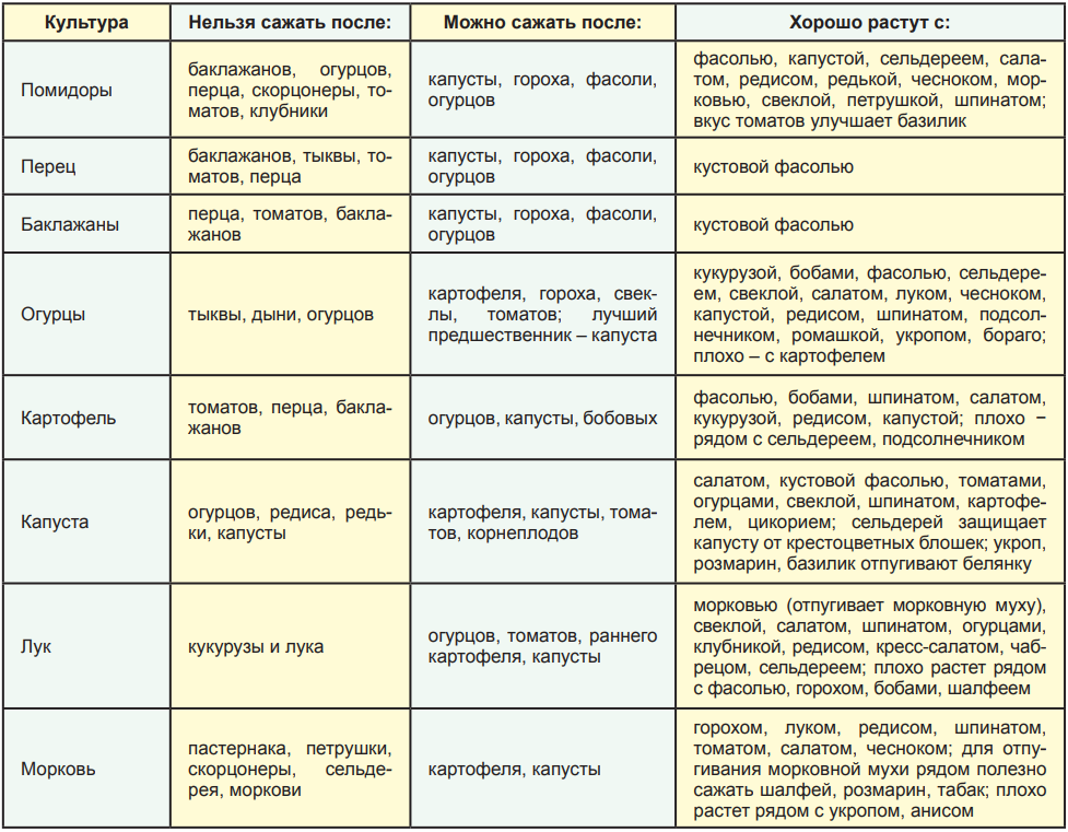 После чего можно сажать картофель: лучшие предшественники картофеля