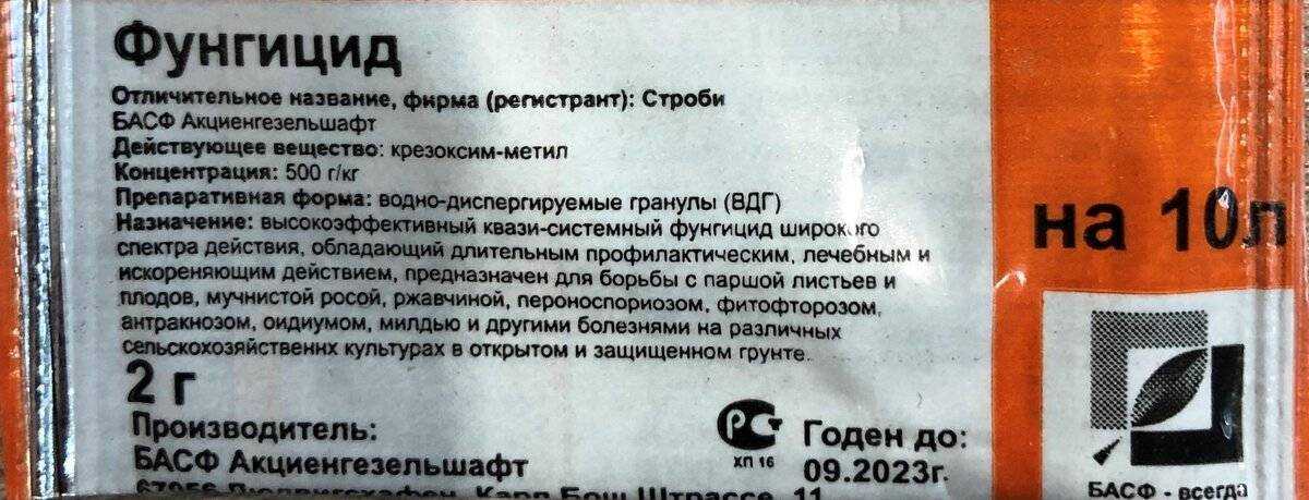 Применение фунгицида строби для винограда – сайт о винограде и вине