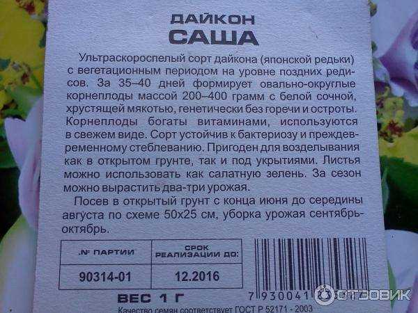 Редька дайкон: посадка и уход в открытом грунте, выращивание из семян
