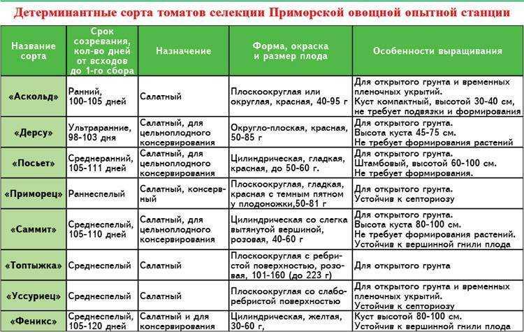 Детерминантный, индетерминантный сорта помидоров: что это значит?