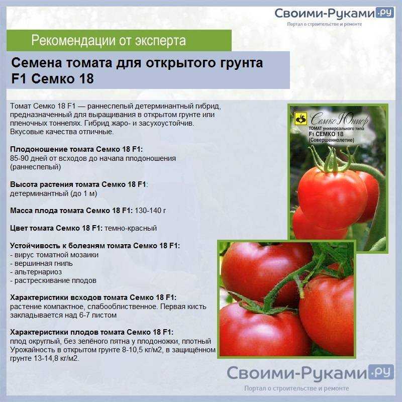 Желтые сорта томатов: самые сладкие, вкусные и урожайные, описание с фото, отзывы, ранние, черри, для открытого грунта и теплицы