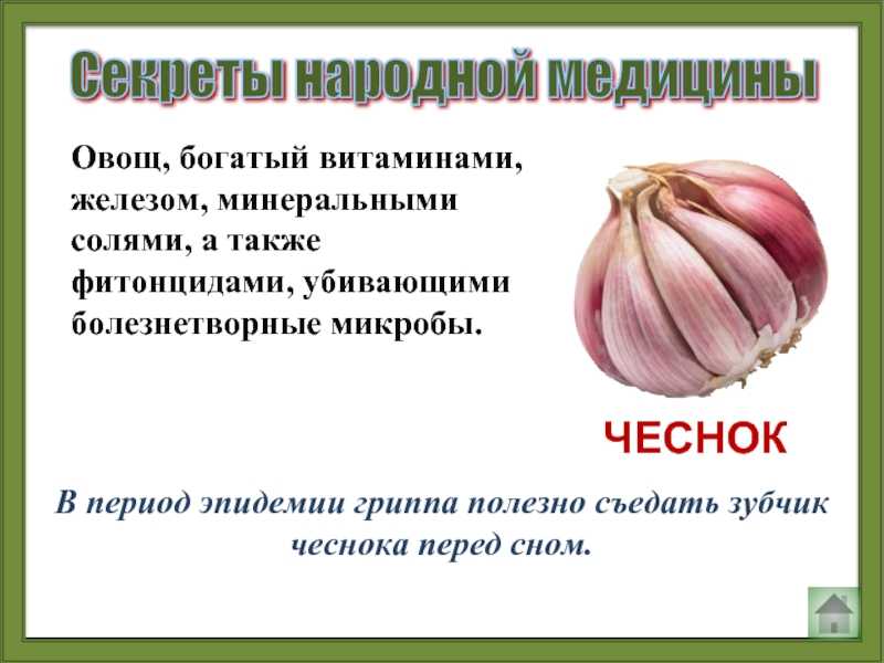 Технология выращивания чеснока на китайских грядках. урожай большой.