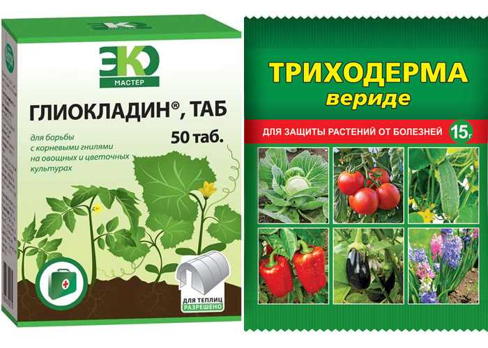 Инструкция по применению хорус