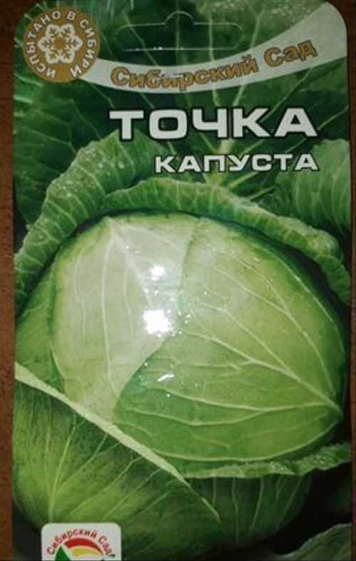 Лучшие ранние сорта капусты белокочанной для россии