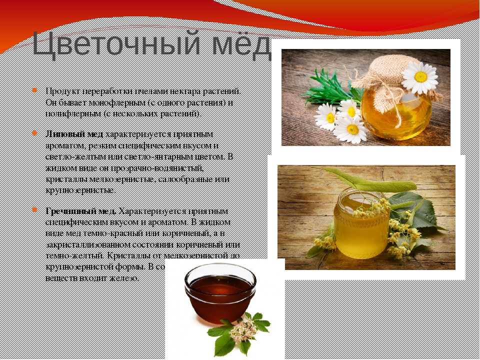 Липовый мед — лучший мед при простуде и для желудка