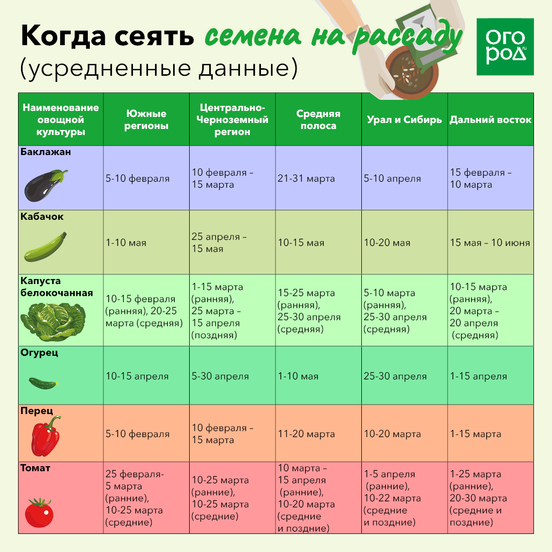 Как вырастить рассаду помидор, когда сажать