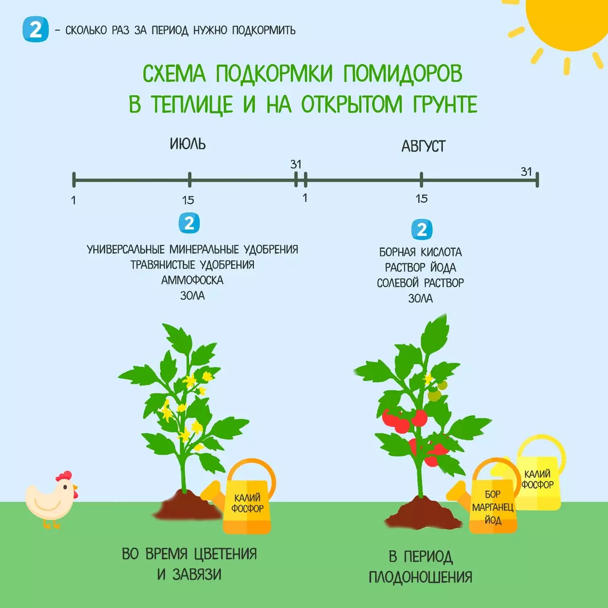 Все секреты выращивания томатов и огурцов в теплицах