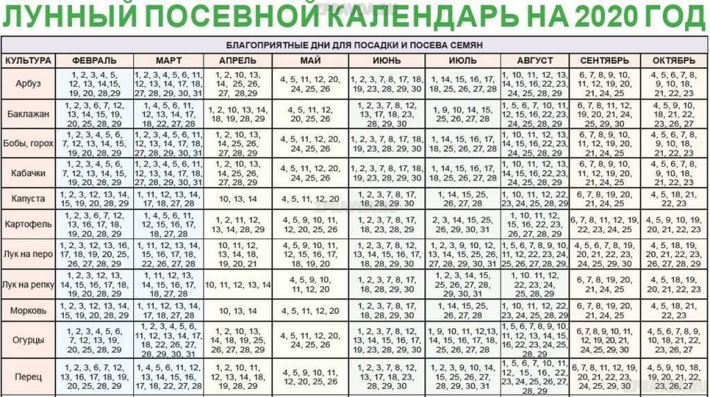 Когда сажать картофель в 2023 году. лунный календарь