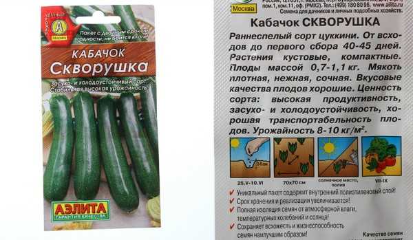 Семена кабачок цуккини скворушка new* : описание сорта, фото