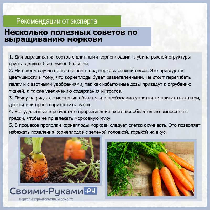 Лучшие сорта томатов для юга россии в открытом грунте