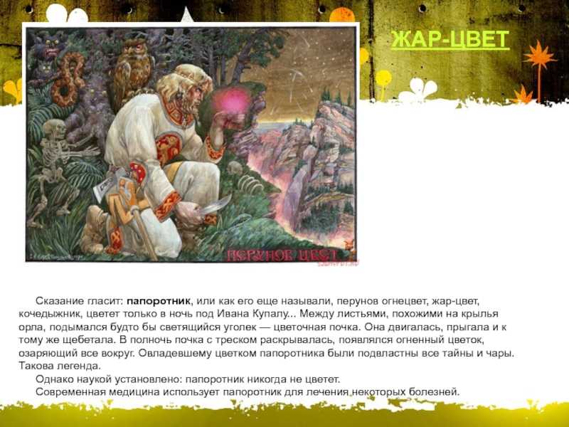 Дача и огород