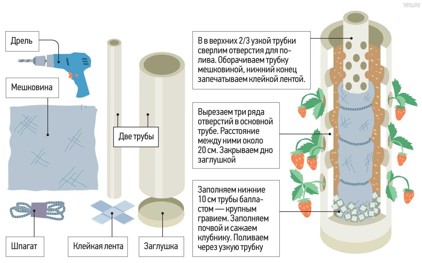 Как посадить и вырастить клубнику в ПВХ трубах горизонтально: инструкция