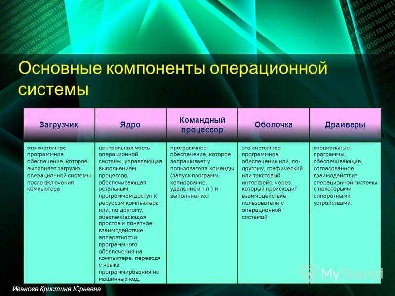 Виды ос какие бывают их особености