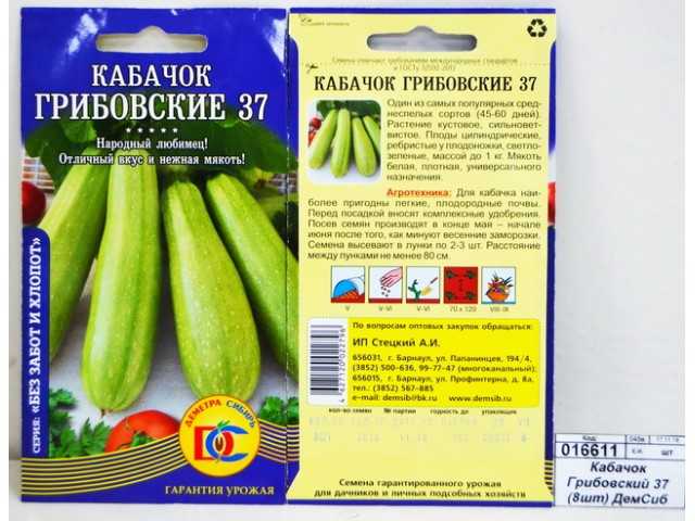 О кабачке Грибовский: описание и характеристики сорта, посадка и уход