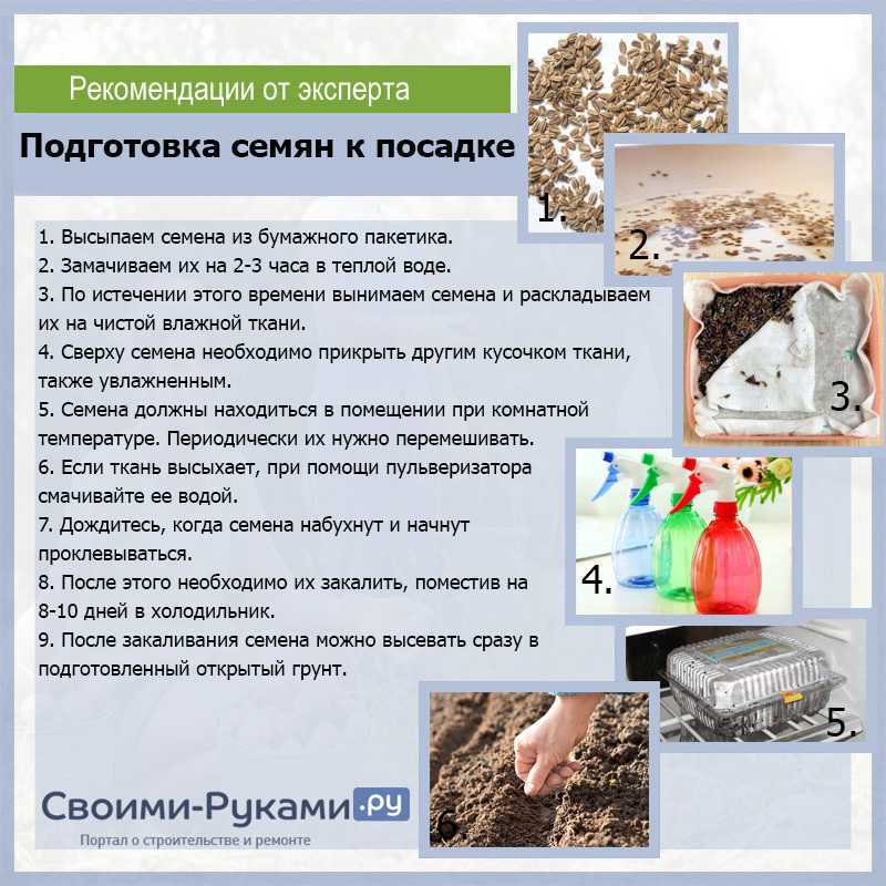Полив и подкормка перекисью водорода