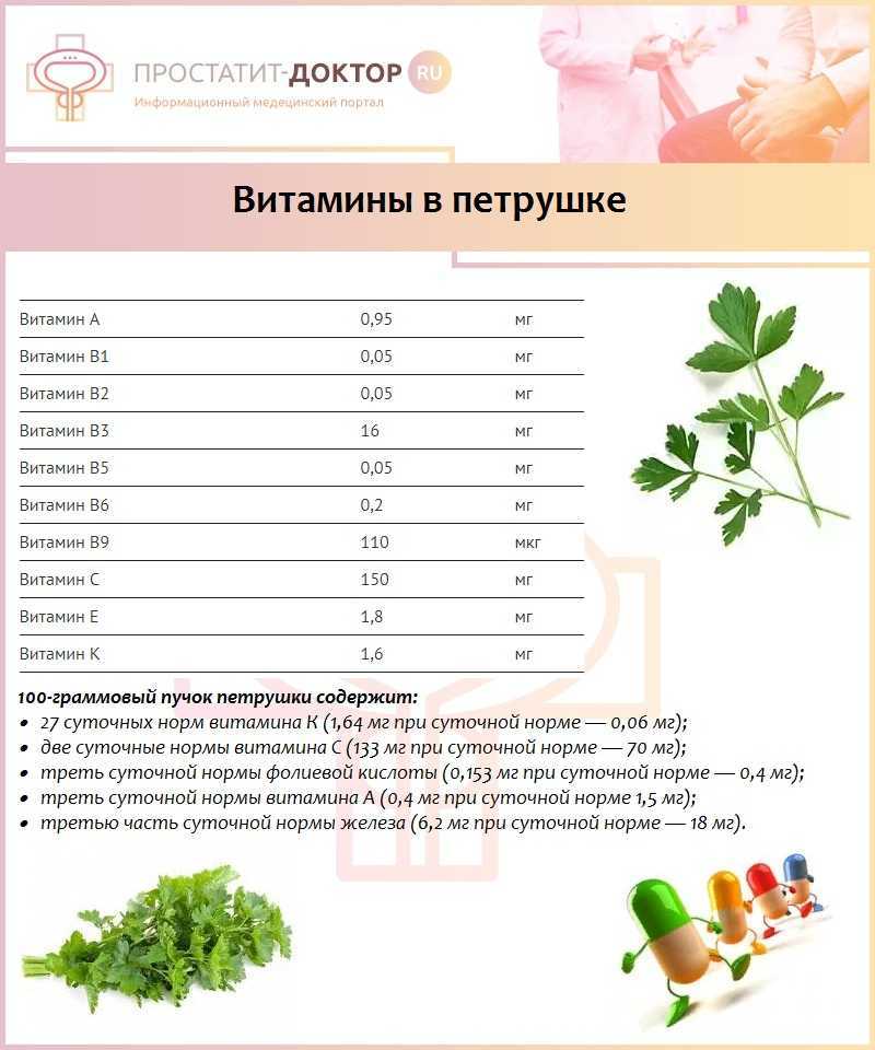 Классификация сортов листовой и корневой петрушки