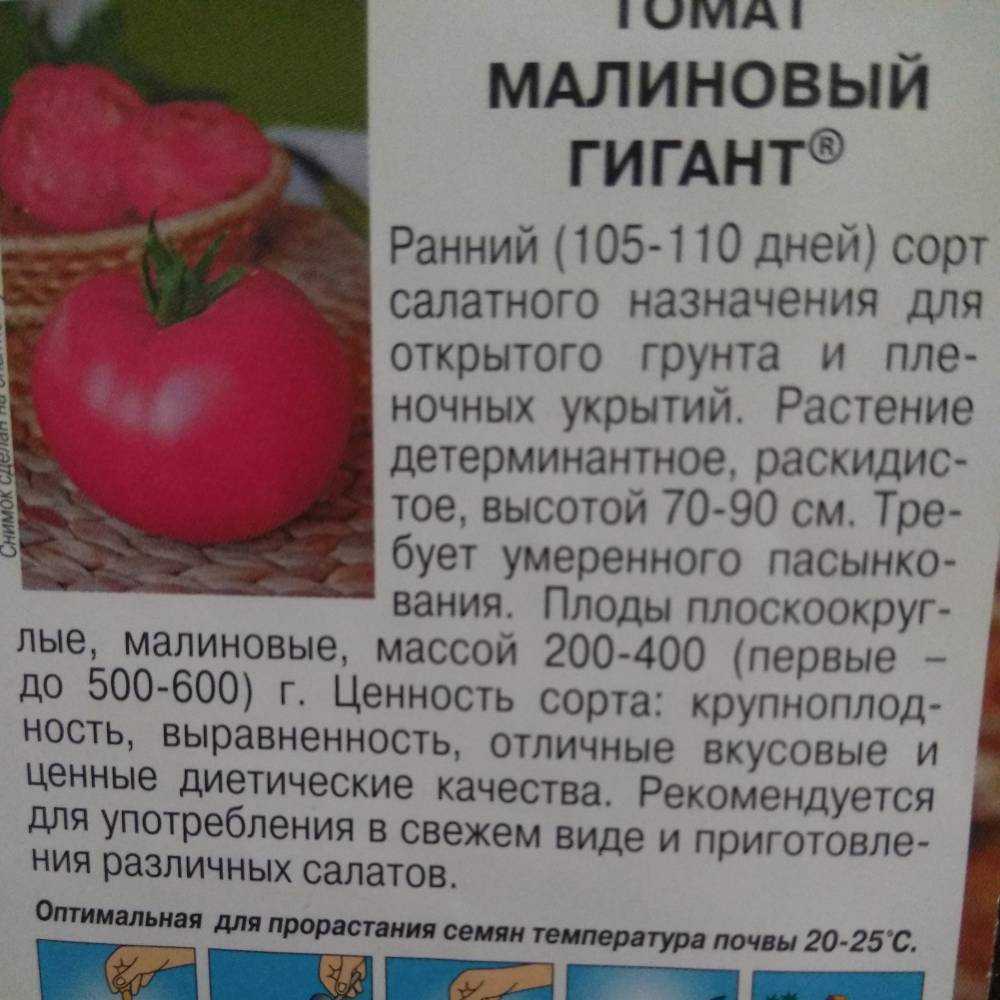 Томат малиновая империя