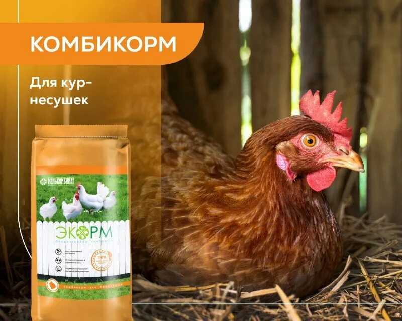 Тетравит: инструкция по применению для птиц, как использовать, способы применения