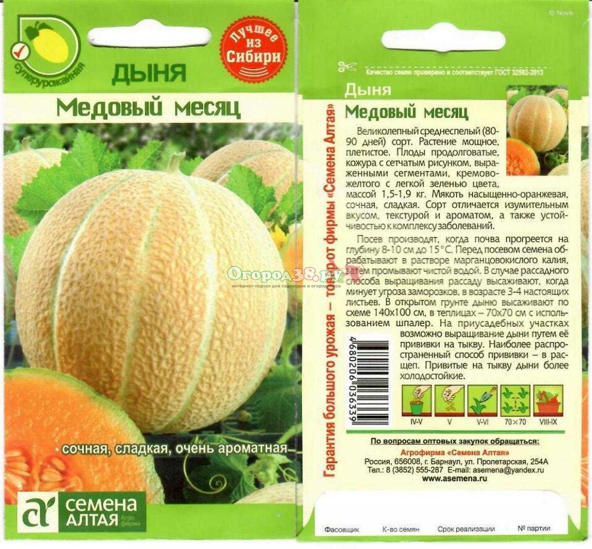 Лучшие сорта дыни: виды, названия, краткие описания
