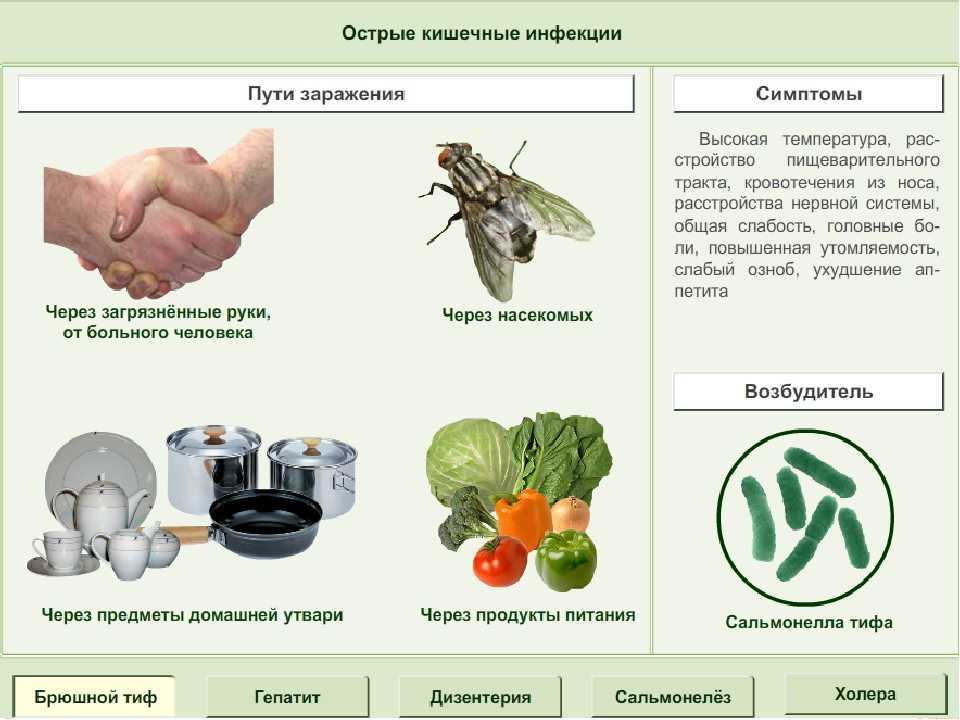 Как спасти деревья от бактериального ожога груши?